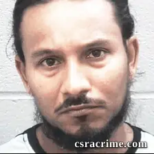 Jesse Pullin booking photo