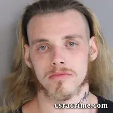 Jesse Reeder booking photo