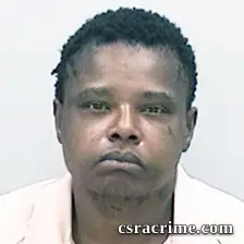 Jessica Austin booking photo
