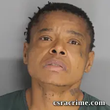 Jessica Austin booking photo