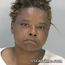 Jessica Austin booking photo