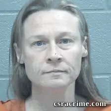 Jessica Dimichael booking photo