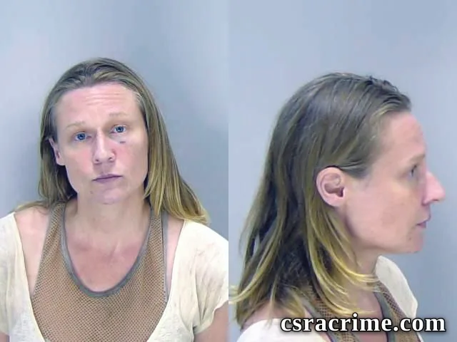 Jessica Dimichael booking photo