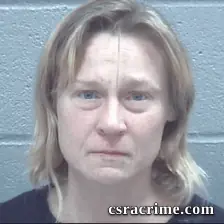 Jessica Dimichael booking photo
