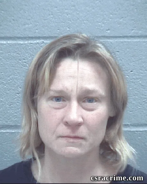 Jessica Dimichael booking photo