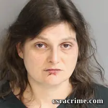 Jessica Dingler booking photo