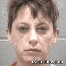 Jessica Hellinger Nichols booking photo