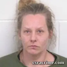 Jessica Lynn Tarr booking photo