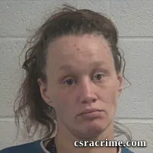 Jessica Nicole Sanders booking photo