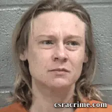 Jessica Renee Dimichael booking photo
