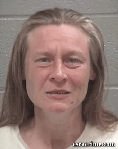 Jessica Renee Dimichael booking photo