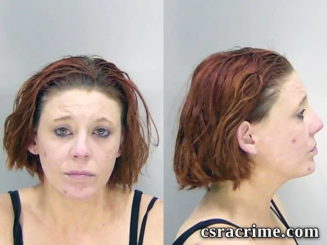 Jessica Sagle booking photo