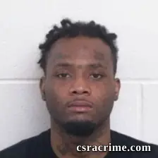 Jessie Lee Harper booking photo