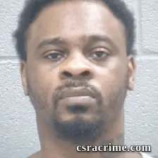 Jessie Wilson booking photo