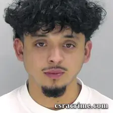Jesus Flores booking photo