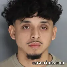 Jesus Flores booking photo