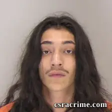 Jewlian Gonzales booking photo