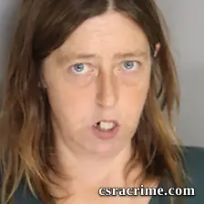 Jill Busbee booking photo