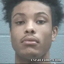 Joakwanne Lee booking photo