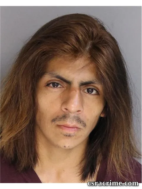 Jody Siler booking photo