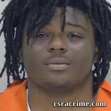Jody Webb booking photo