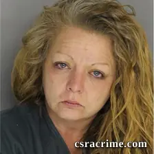 Johanna Cole booking photo