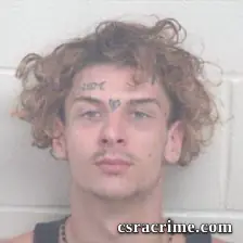John Thomas Mitchell booking photo