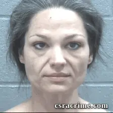 Johnalyn Reid booking photo