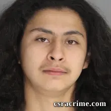 Johnathan Al-Shehry booking photo
