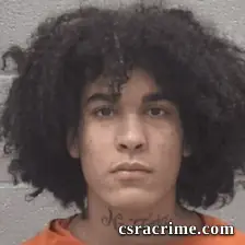 Johnathan Anthony Price booking photo