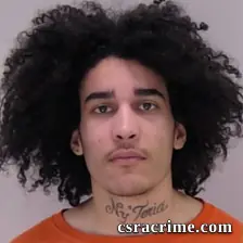 Johnathan Price booking photo