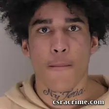 Johnathan Price booking photo