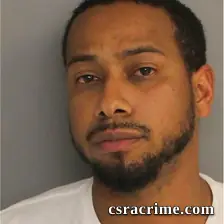 Johnele Lionetti booking photo