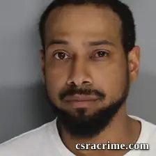 Johnele Lionetti booking photo