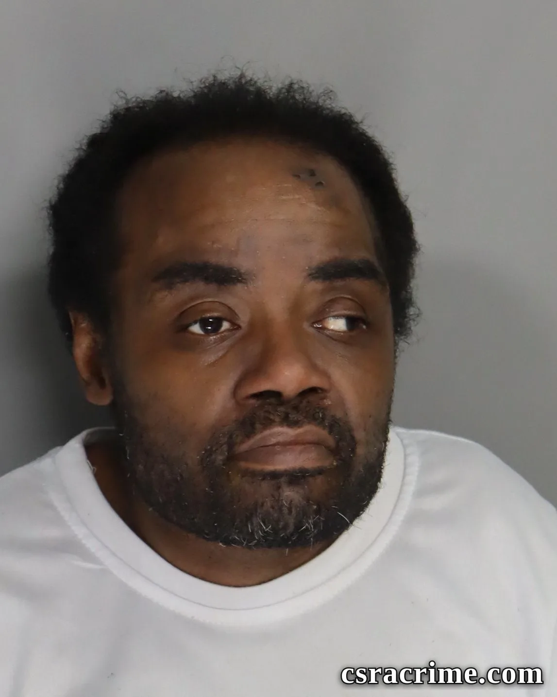 Johnnie Settles booking photo