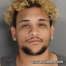 Johnnier Perez Matos booking photo