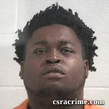 Johnson Bailey booking photo