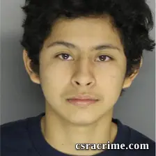 Jonathan Alshehry booking photo