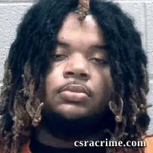 Jonathan Brunson booking photo