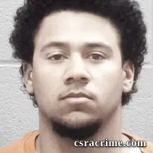 Jordan Fanning booking photo