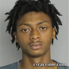 Jordan Williams booking photo