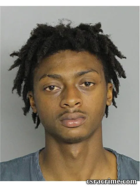 Jordan Williams booking photo