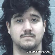 Jorge Arenas booking photo