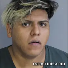 Jose Magdaleno booking photo