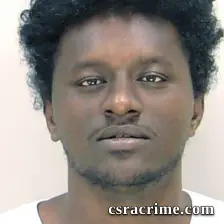 Joshua Ellerbee booking photo