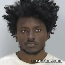 Joshua Ellerbee booking photo