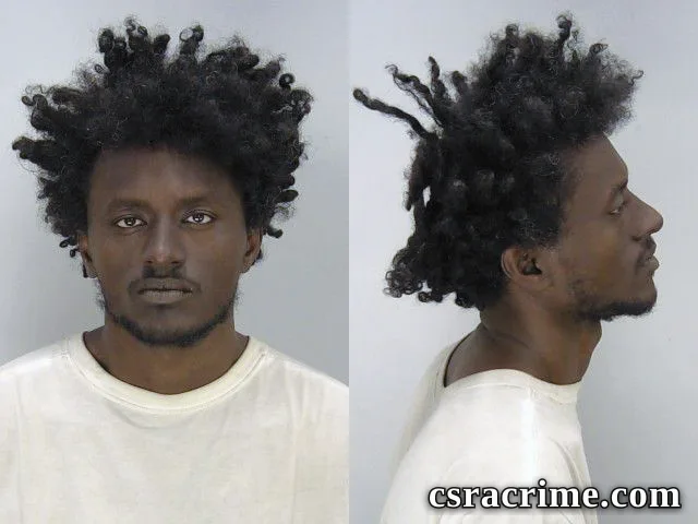 Joshua Ellerbee booking photo