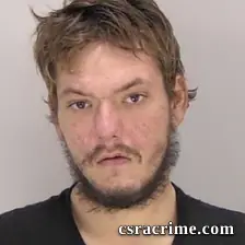 Joshua Gregory Reed booking photo
