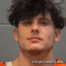 Joshua King booking photo
