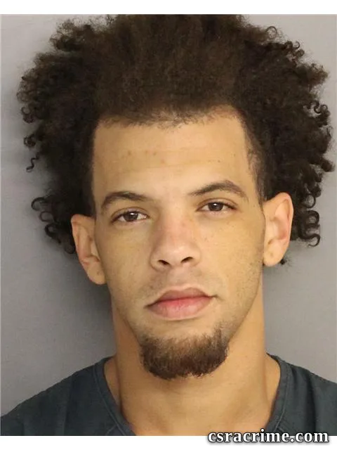 Joshua Lovett booking photo